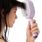 3 in 1 Self Cleaning Steam Essential Oil Brush Electric